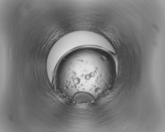 X0000116340240200912011356