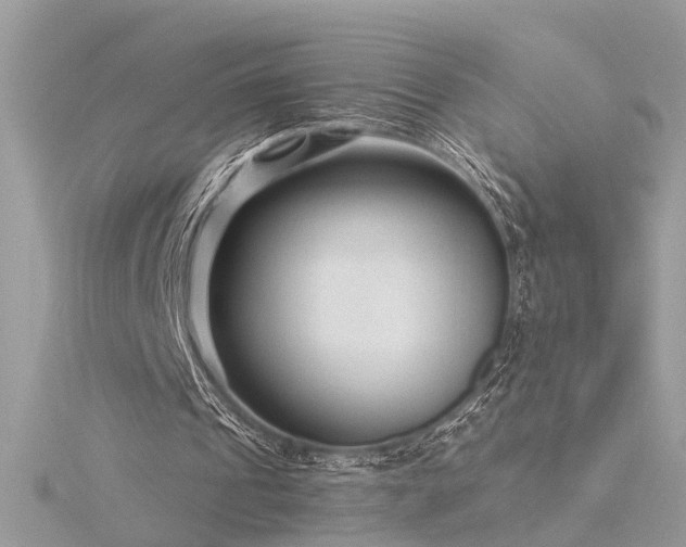 X0000116340241200912011355