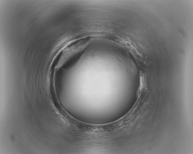 X0000116340243200912011355