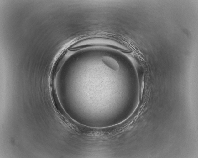 X0000116340244200912011355