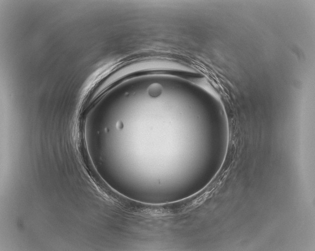 X0000116340245200912011355