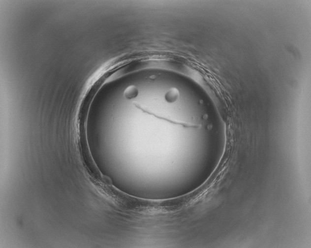 X0000116340246200912011355