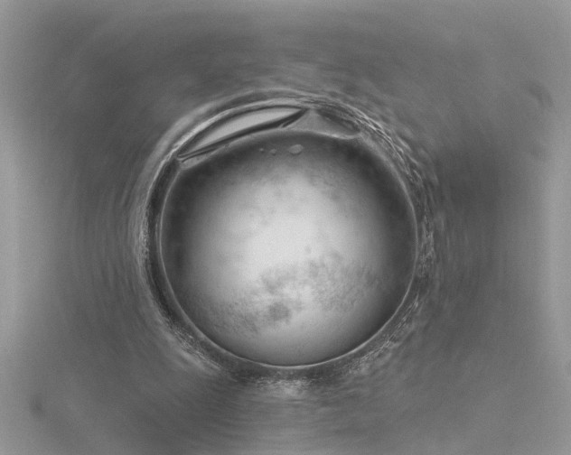 X0000116340247200912011355