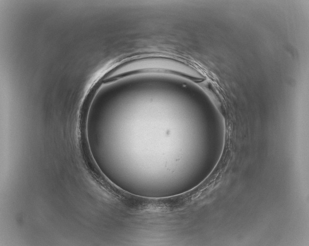 X0000116340248200912011355