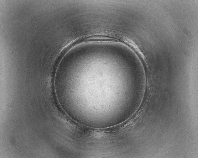 X0000116340249200912011355