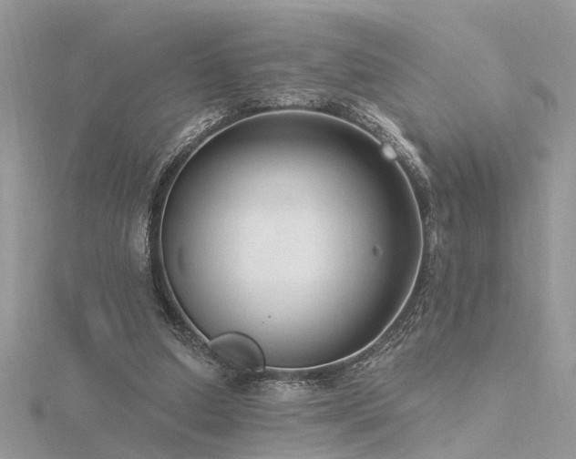 X0000116340250200912011355