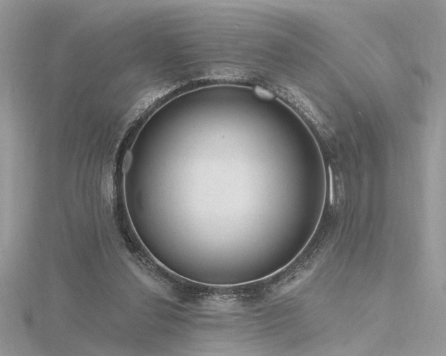 X0000116340252200912011356