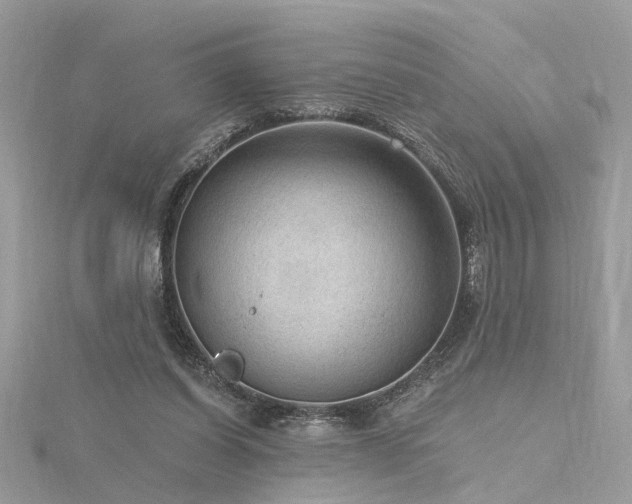 X0000116340254200912011356