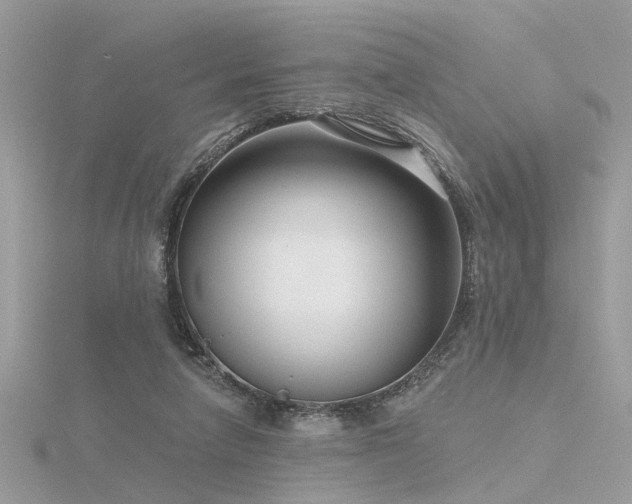 X0000116340258200912011356