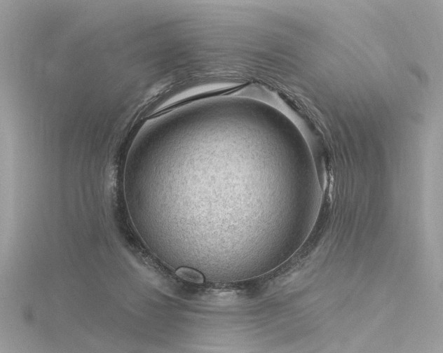 X0000116340260200912011356