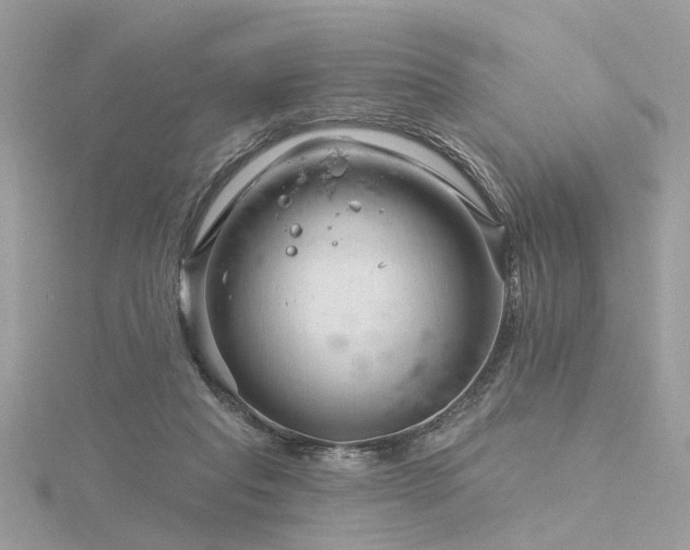 X0000116340261200912011356