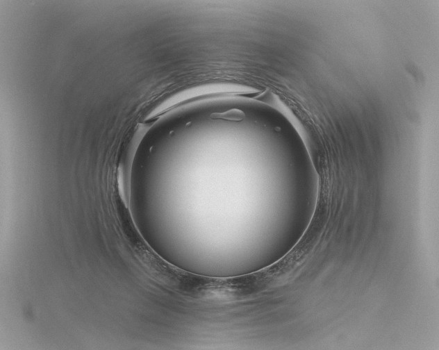 X0000116340263200912011356