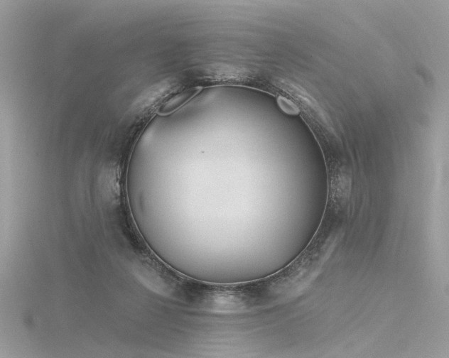 X0000116340264200912011356