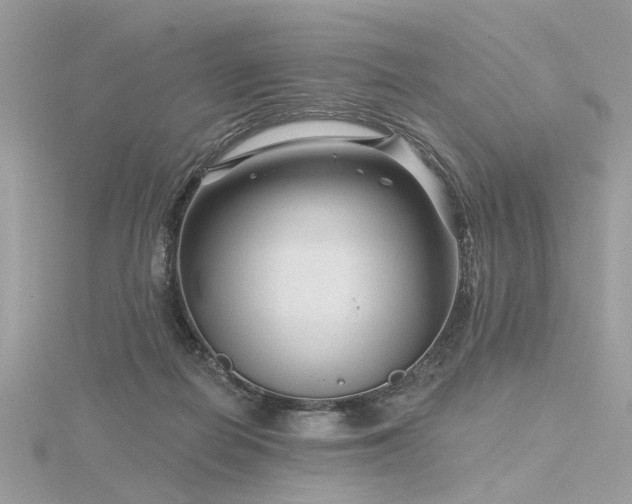 X0000116340266200912011356