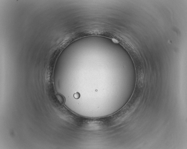 X0000116340268200912011356