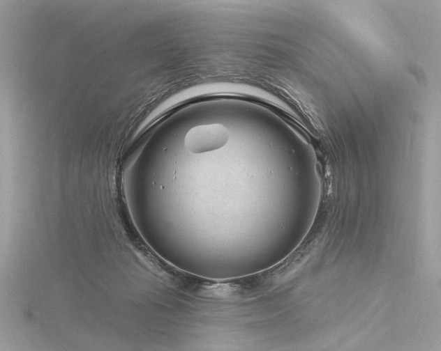 X0000116340269200912011356