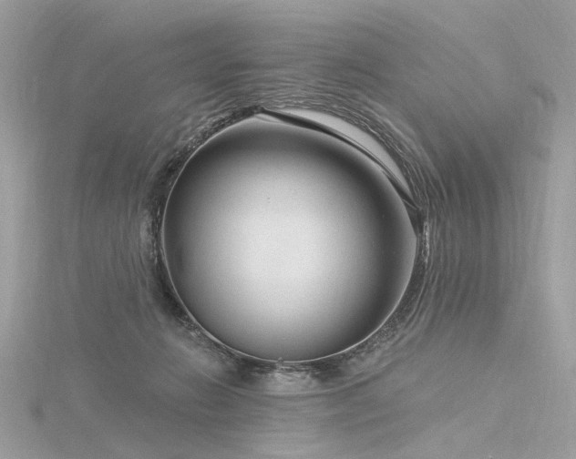 X0000116340270200912011356