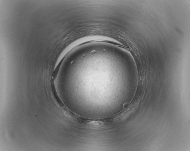 X0000116340277200912011356