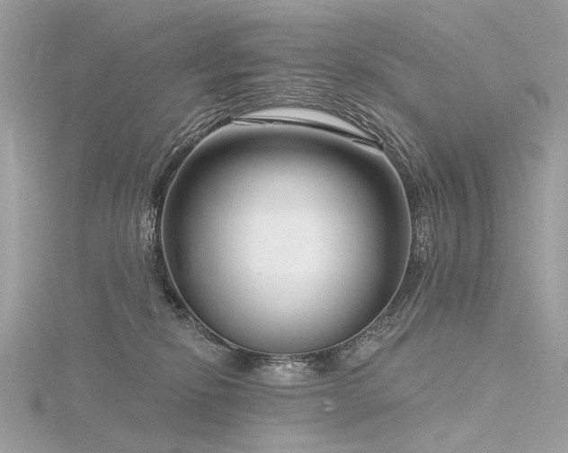 X0000116340278200912011356