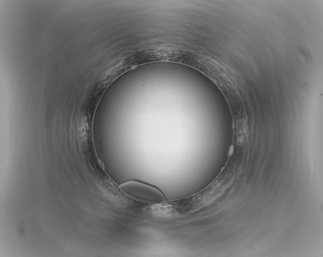 X0000116340279200912011356