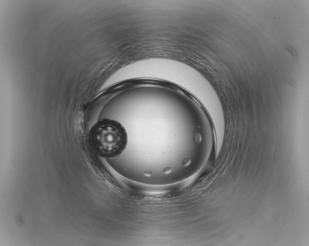 X0000116340280200912011356