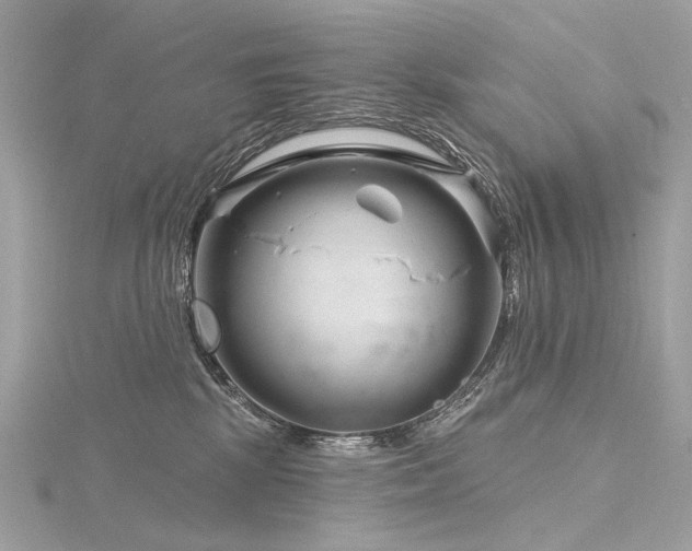 X0000116340281200912011356