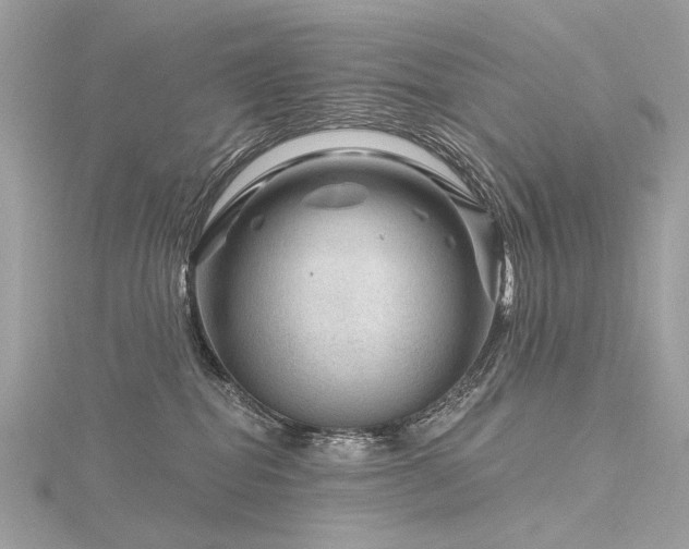 X0000116340282200912011356