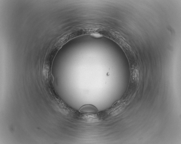 X0000116340283200912011356