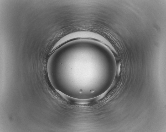 X0000116340284200912011356