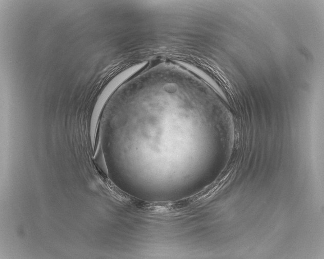 X0000116340285200912011356