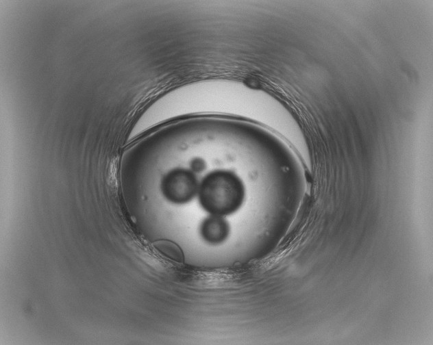 X0000116340286200912011356