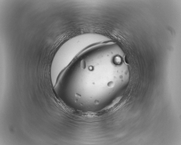 X0000116340288200912011356