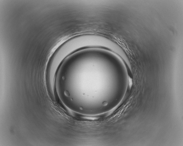 X0000116340292200912011355