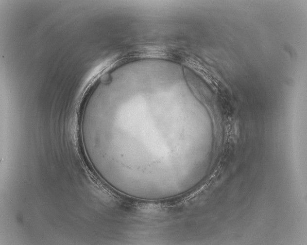 X0000116340293200912011355