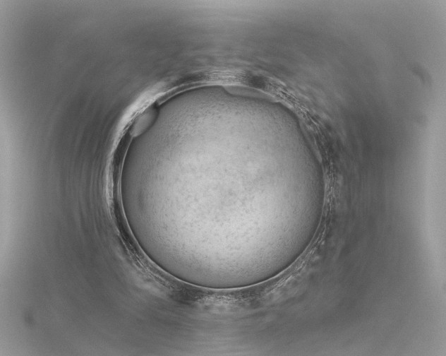 X0000116340294200912011355