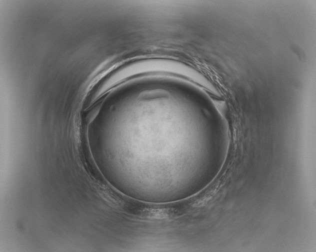 X0000116340295200912011355