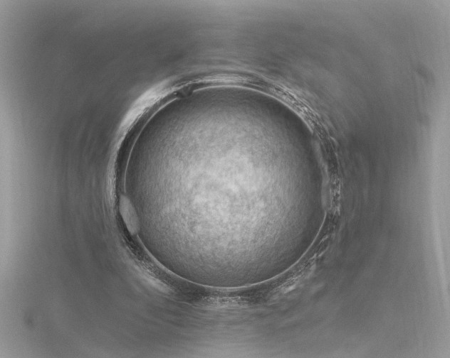 X0000116340296200912011355