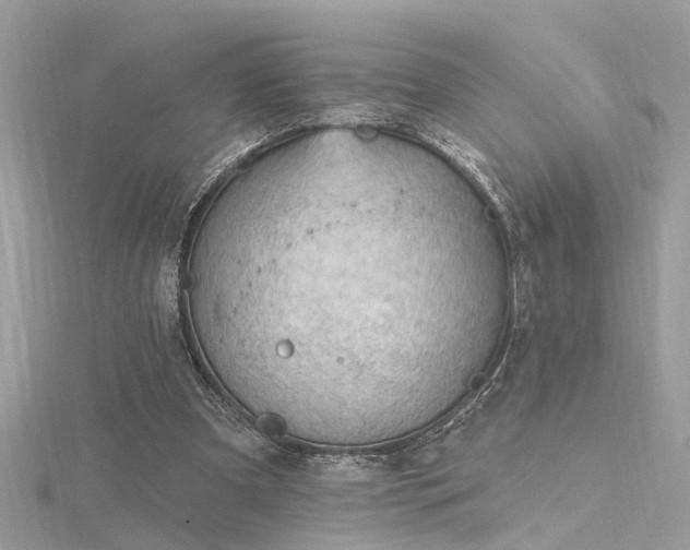 X0000116340297200912011355