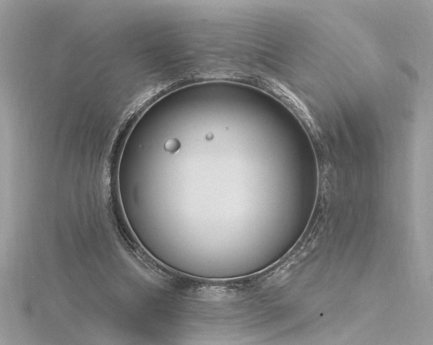 X0000116340298200912011355