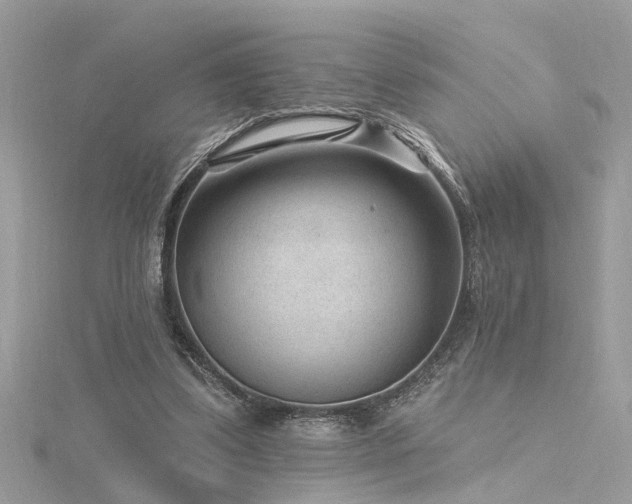 X0000116340299200912011355