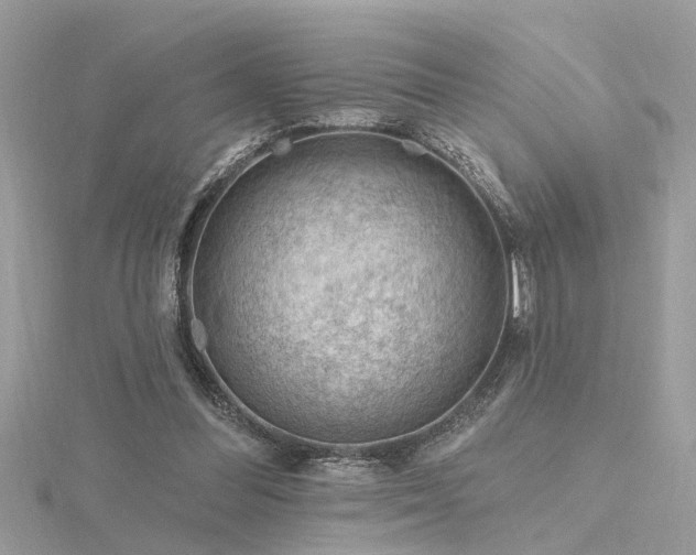 X0000116340300200912011355