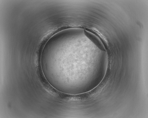 X0000116340303200912011355