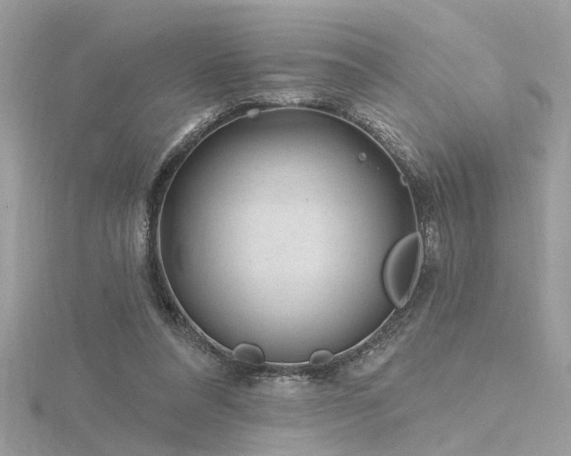 X0000116340304200912011355