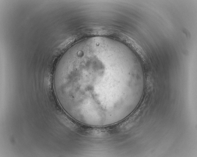 X0000116340305200912011355