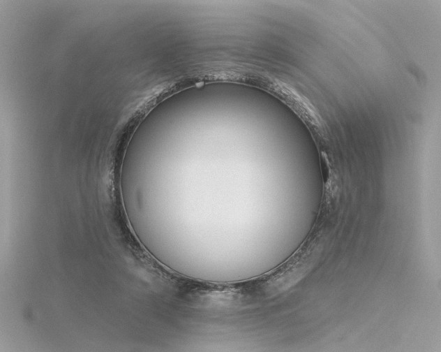 X0000116340306200912011355