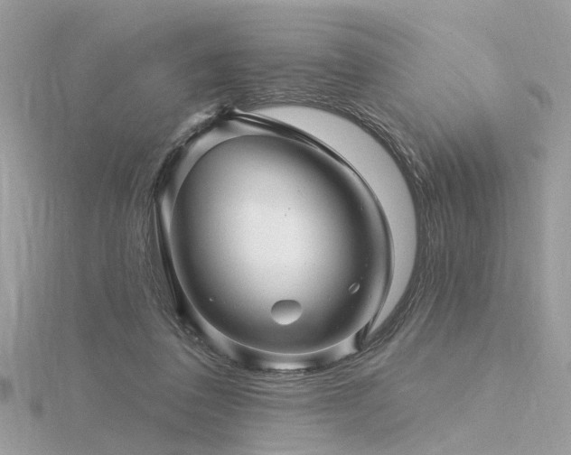 X0000116340308200912011355