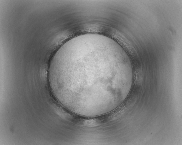 X0000116340309200912011355