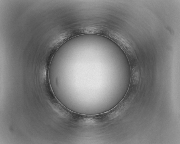 X0000116340310200912011355