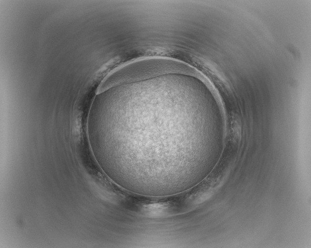 X0000116340312200912011355