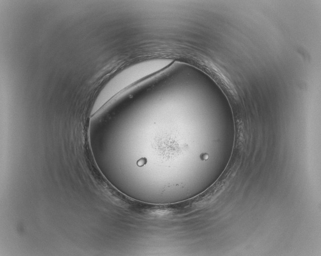 X0000116340313200912011355